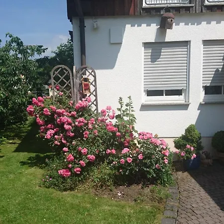 Gemütliche 1-zimmerwohnung Apartamento *