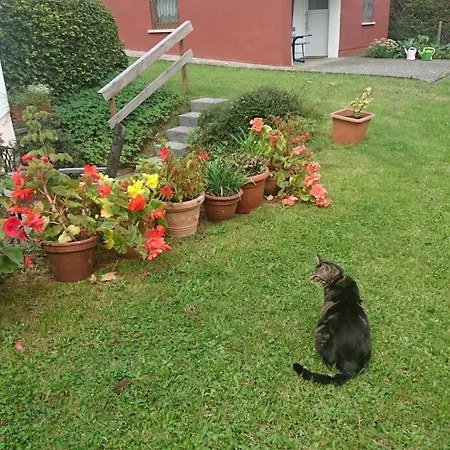Apartamento Gemütliche 1-zimmerwohnung